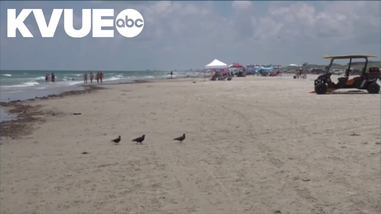These Texas beaches were ranked top in the state