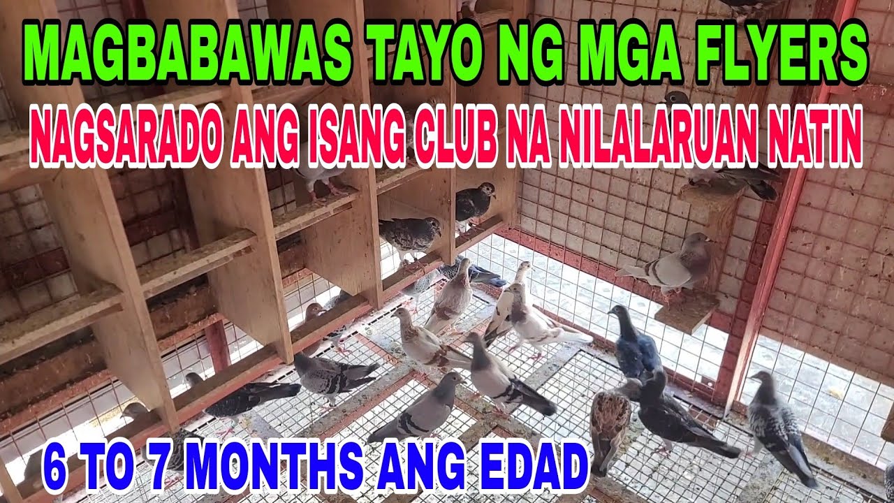 MAGBABAWAS TAYO NG MGA FLYER DAHIL NAGSARADO ANG ISANG CLUB / CANCEL ANG BASKETING