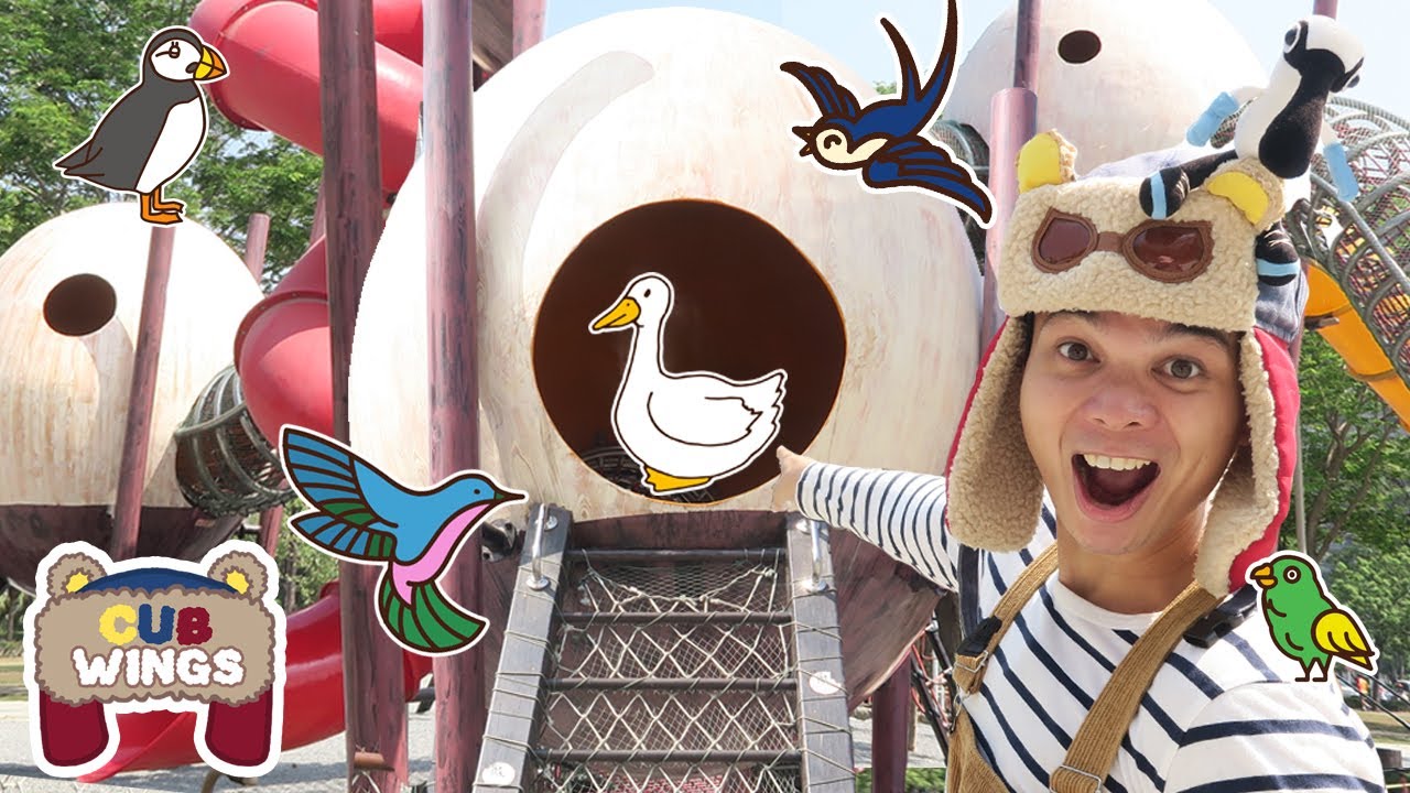 Learn About Eggs For Kindergarten With Mr Albie | Cub Wings | Educational Videos for Kids