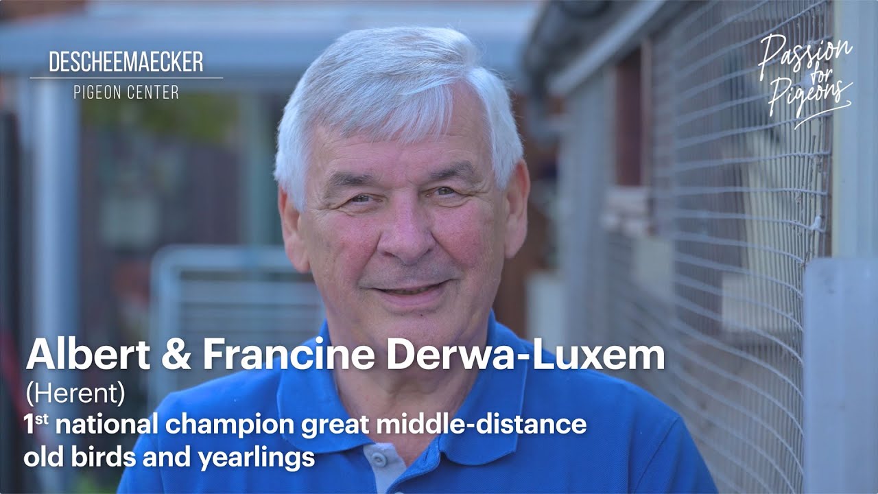 Interview Albert & Francine Derwa-Luxem (Herent)
