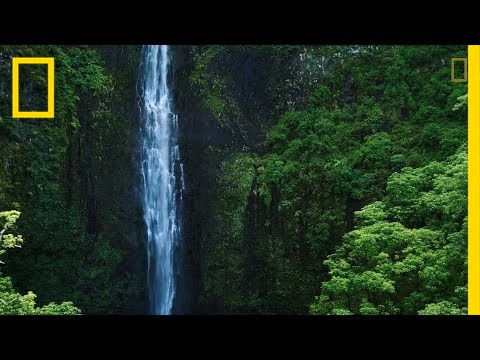 Earth is Our Home&mdash;Let's Protect It | National Geographic
