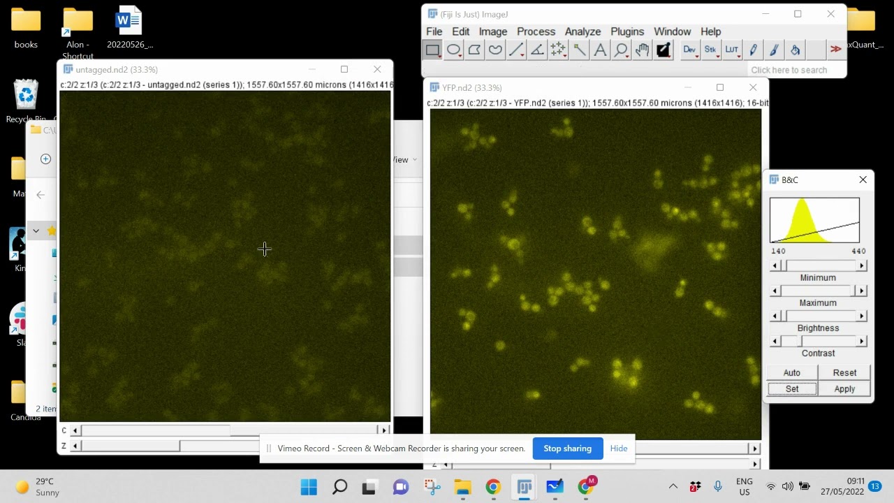 ImageJ: Adjusting microscopic images to the same brightness range