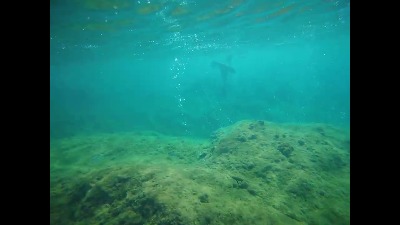 Champagne Reef, Dominica