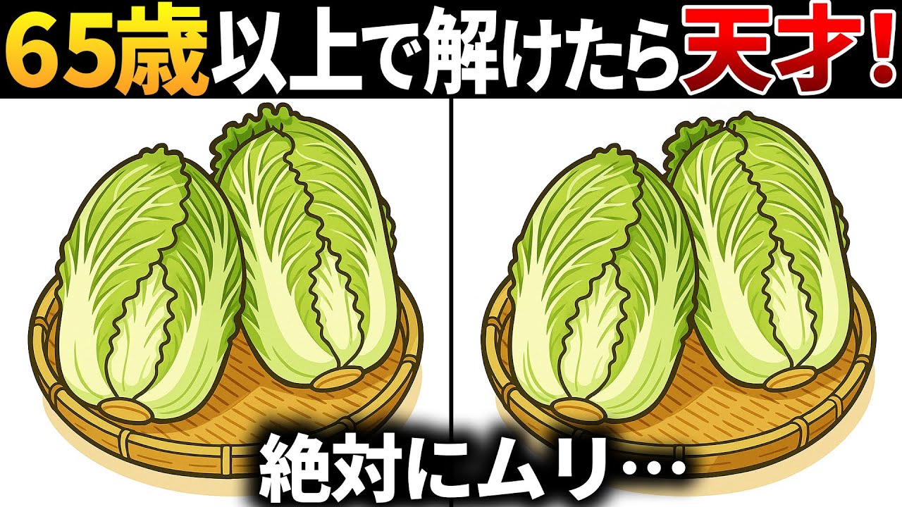 【脳トレ間違い探し】65歳以上高齢者向け無料のゲームで認知症予防！白菜のイラストなどで頭の体操【ゲーム】