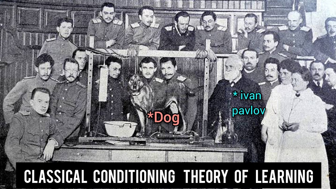 Pavlov's Theory of Classical Conditioning explained in Tamil | Download PDF | Ed. & Psychology Topic