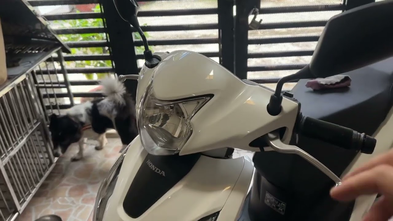 Đánh Giá Vision 2025 Sau 10000 Km.