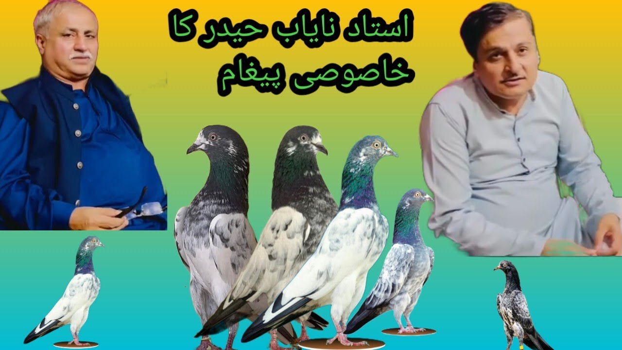 استاد نایاب حیدر کا خصوصی پیغام