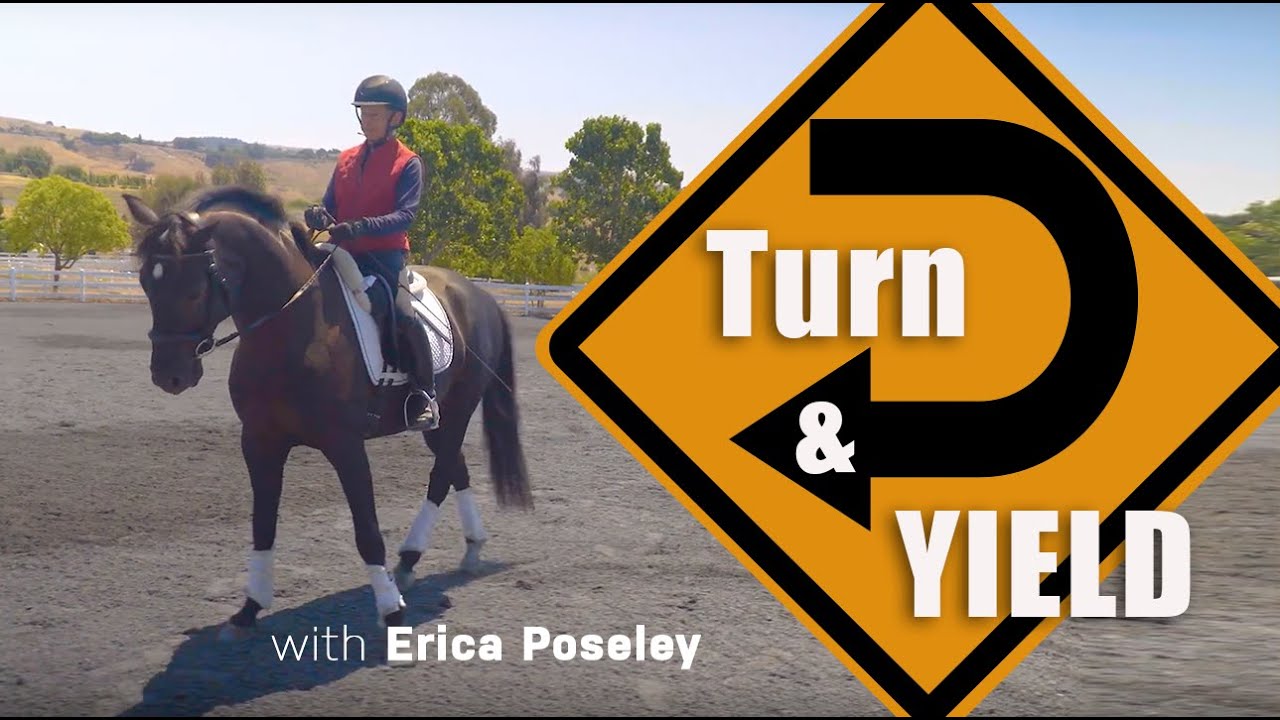 Operant Response for Turn & Yield Under Saddle