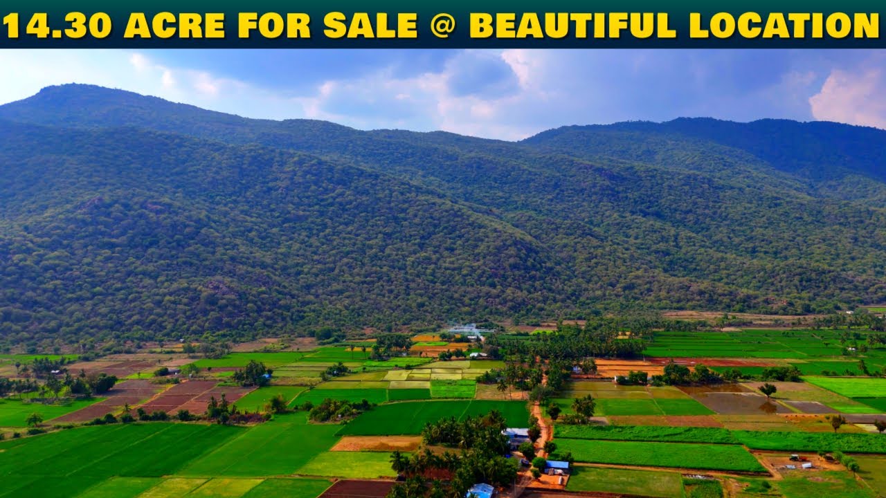 💸15 TO 16 லட்சம் வருமானம் வரக்கூடிய 14.30 ஏக்கர் விற்பனைக்கு🌴14.30 ACRE FOR SALE #beautiful #best