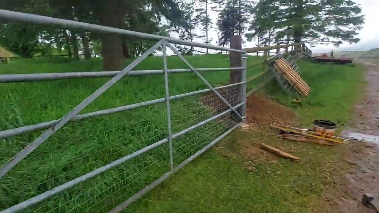 Real dancer balance for those too real human to dance just for show 20220523 141123