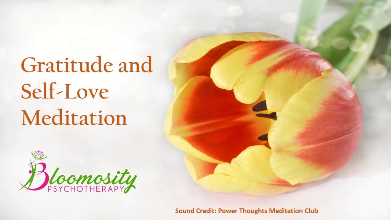 Gratitude and Self Love: Guided Mindfulness Meditation