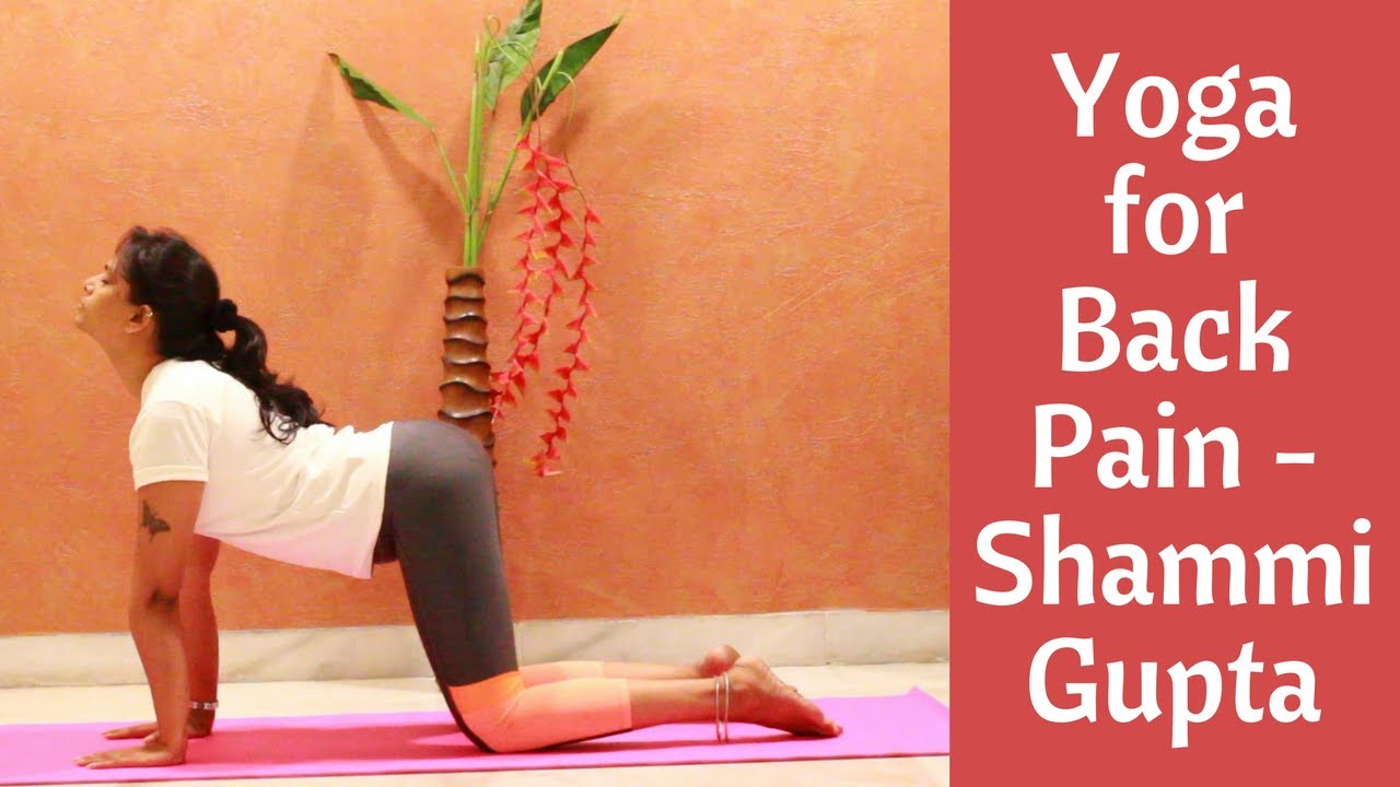 Yoga For Back Pain: Yoga Exercises for Lower Back Pain Relief by Shammi Gupta | #ChetChat