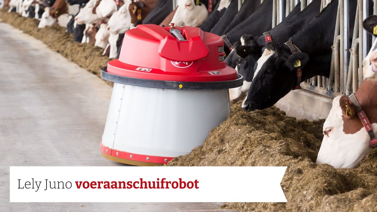 Zo werkt de Juno voeraanschuifrobot | Lely Juno
