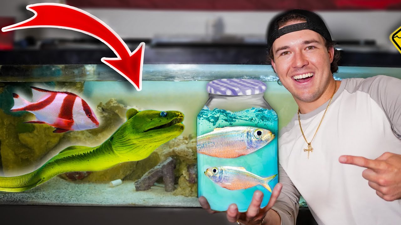 Buying New FISH For SEA MONSTER Aquarium! (Saltwater)