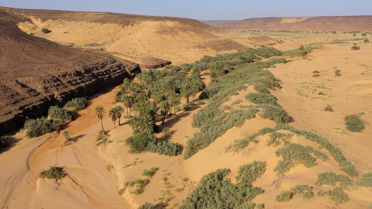 Mauritanie 2024