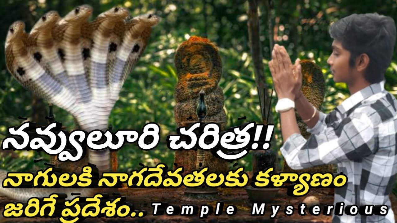 #నవులురు #నాగేంద్రస్వామి #దేవాలయం అస్సలు #చరిత్ర || #Navuluru #మంగళగిరి #templemysterious