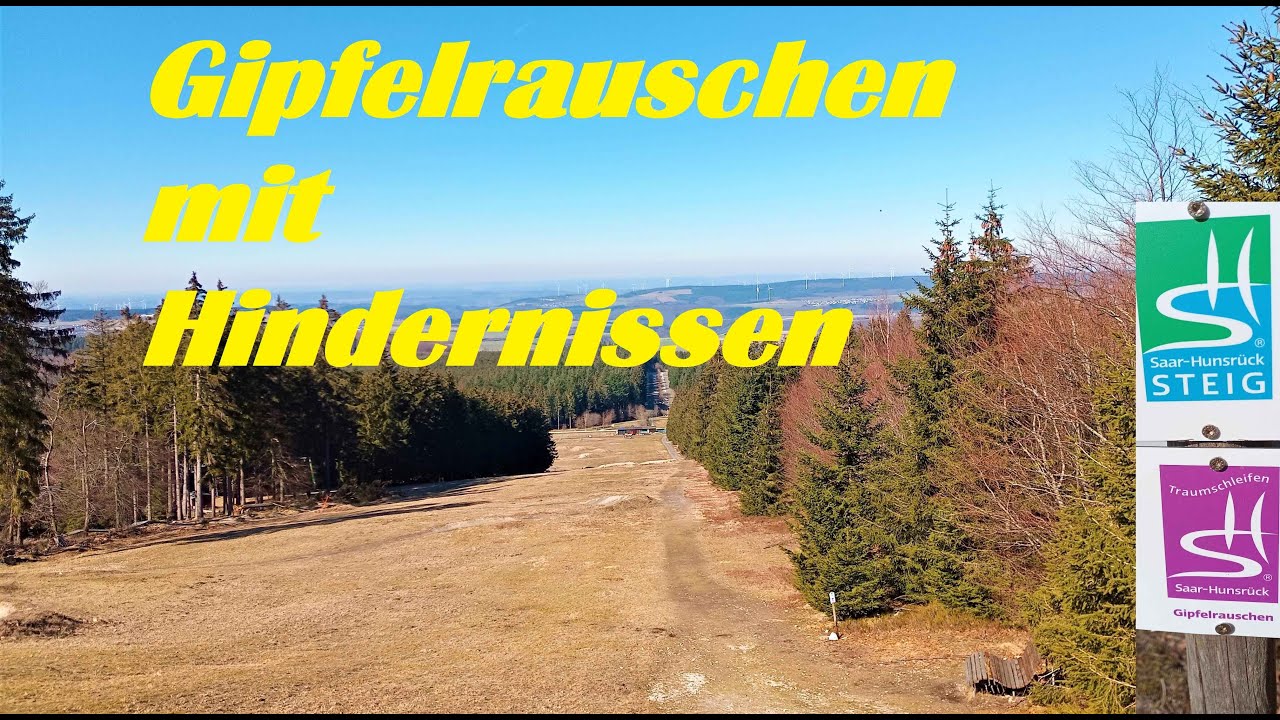 Traumschleife Gipfelrauschen mit Abenteuereinlage 😮  am Erbeskopf in Rheinlandpfalz 4k