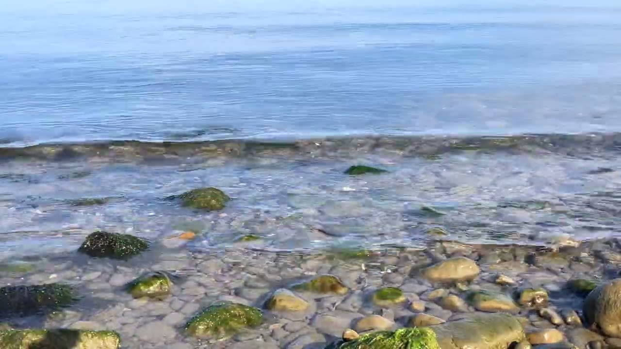 Winter Beach1   4K