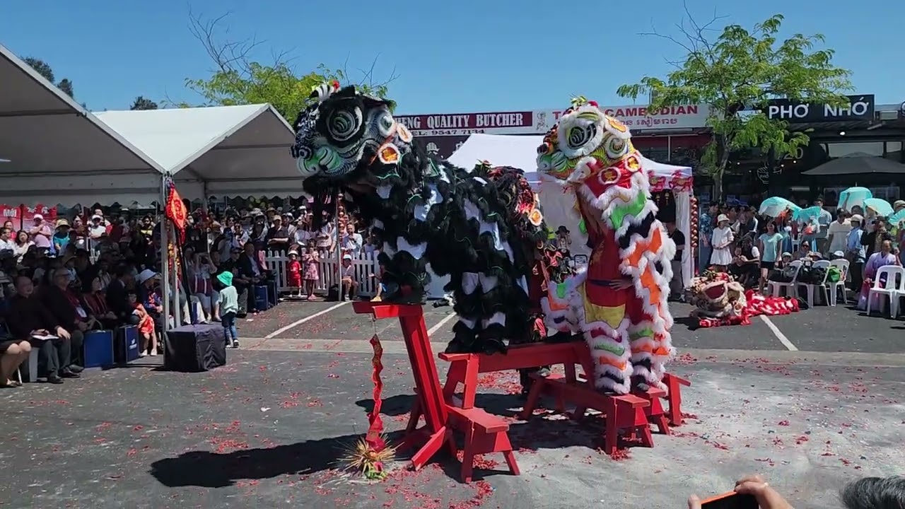 Lion Dance at Springvale Lunar New Year festival 2026 Hội chợ Tết ‎⁨Múa Lân @goplaces1⁩ #goplaces1