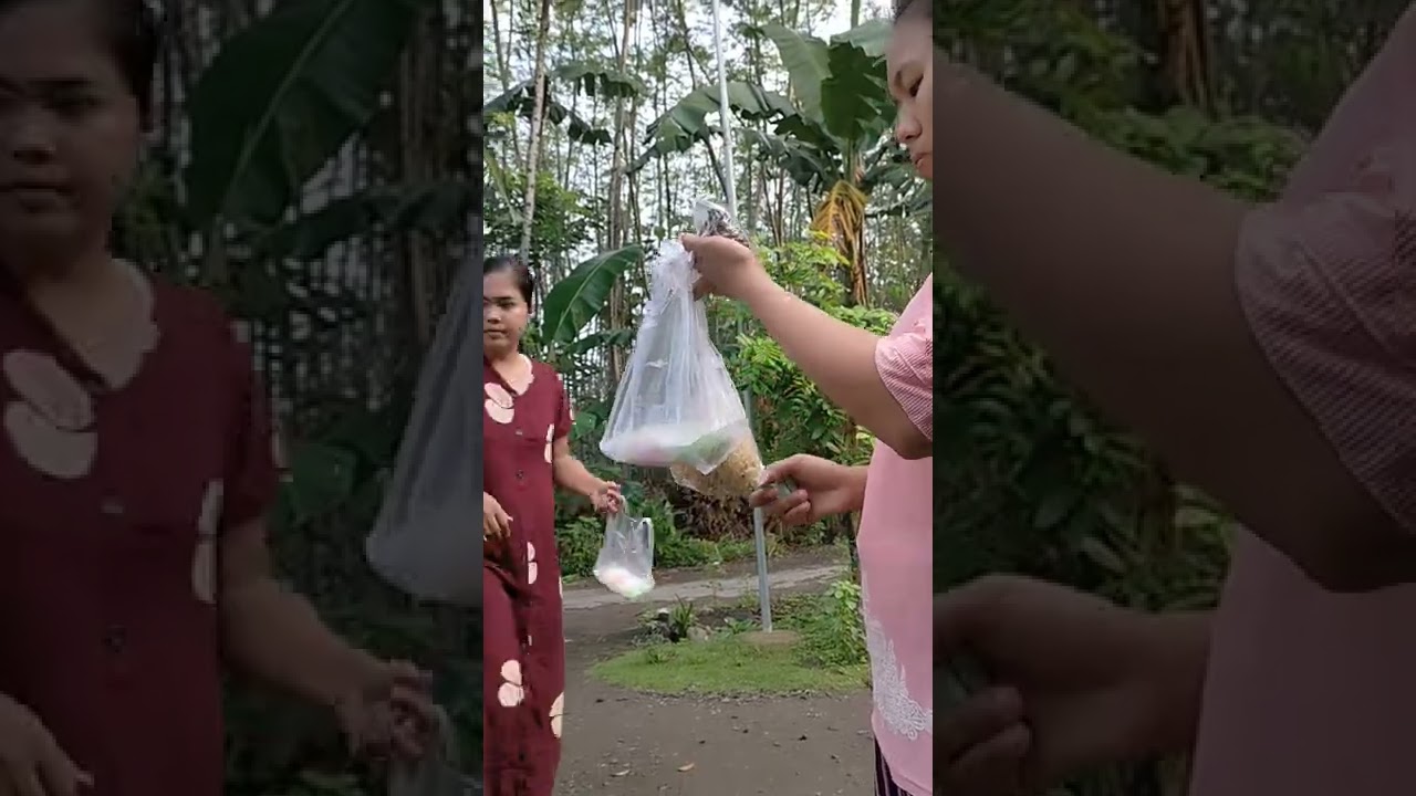 vlog sayur ibu muda santai