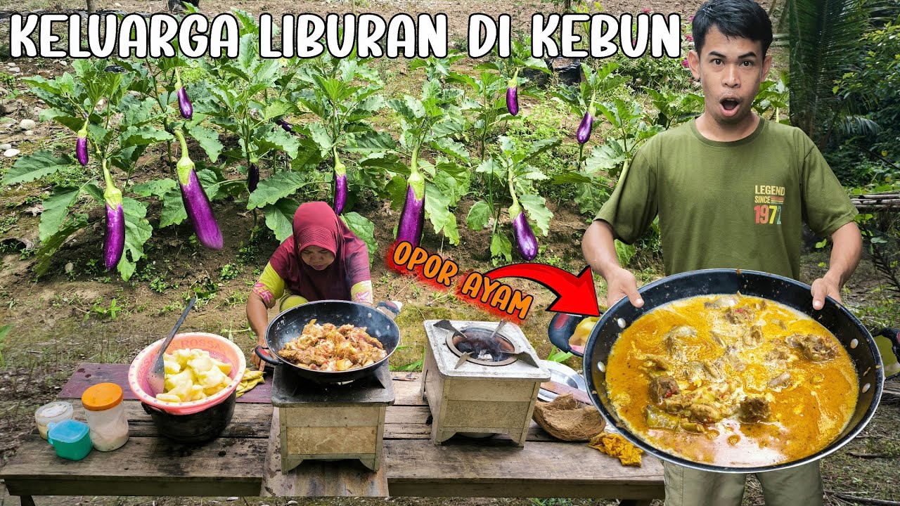 KELUARGA LIBURAN DI PONDOK KEBUN MASAK OPOR AYAM DAN PANEN TERONG, KEHIDUPAN DI KAMPUNG SERUH