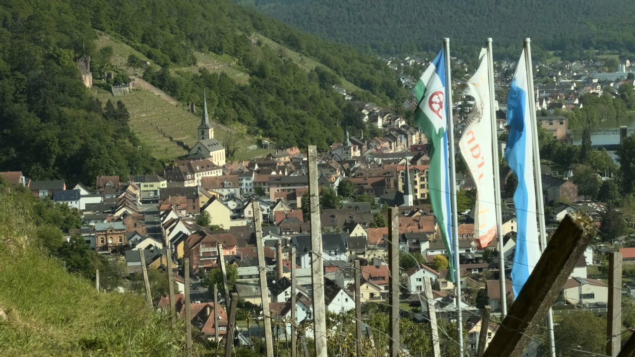 Franken - Klingenberger und Erlenbacher Weinberge