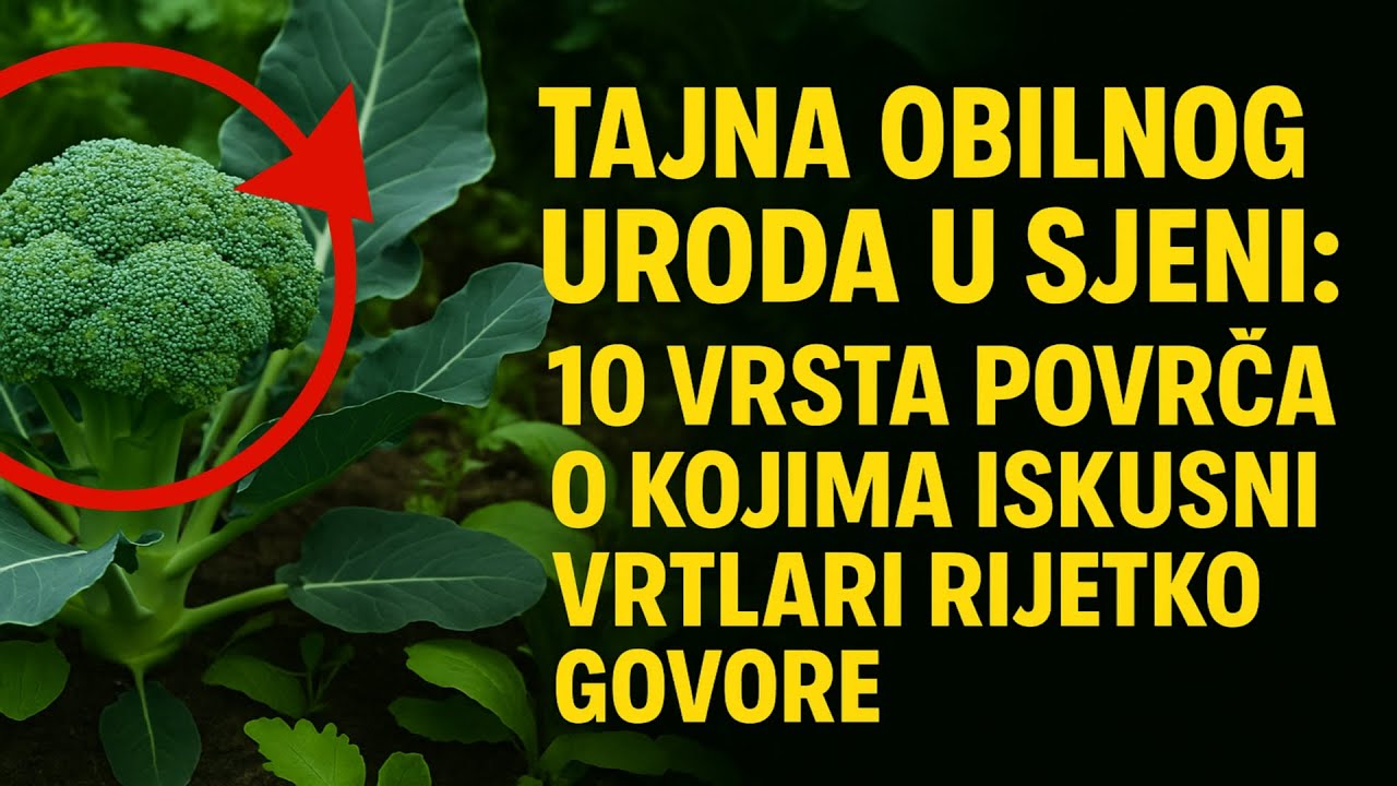 TAJNA obilnog uroda u sjeni: 10 vrsta povrća o kojima iskusni vrtlari rijetko govore.