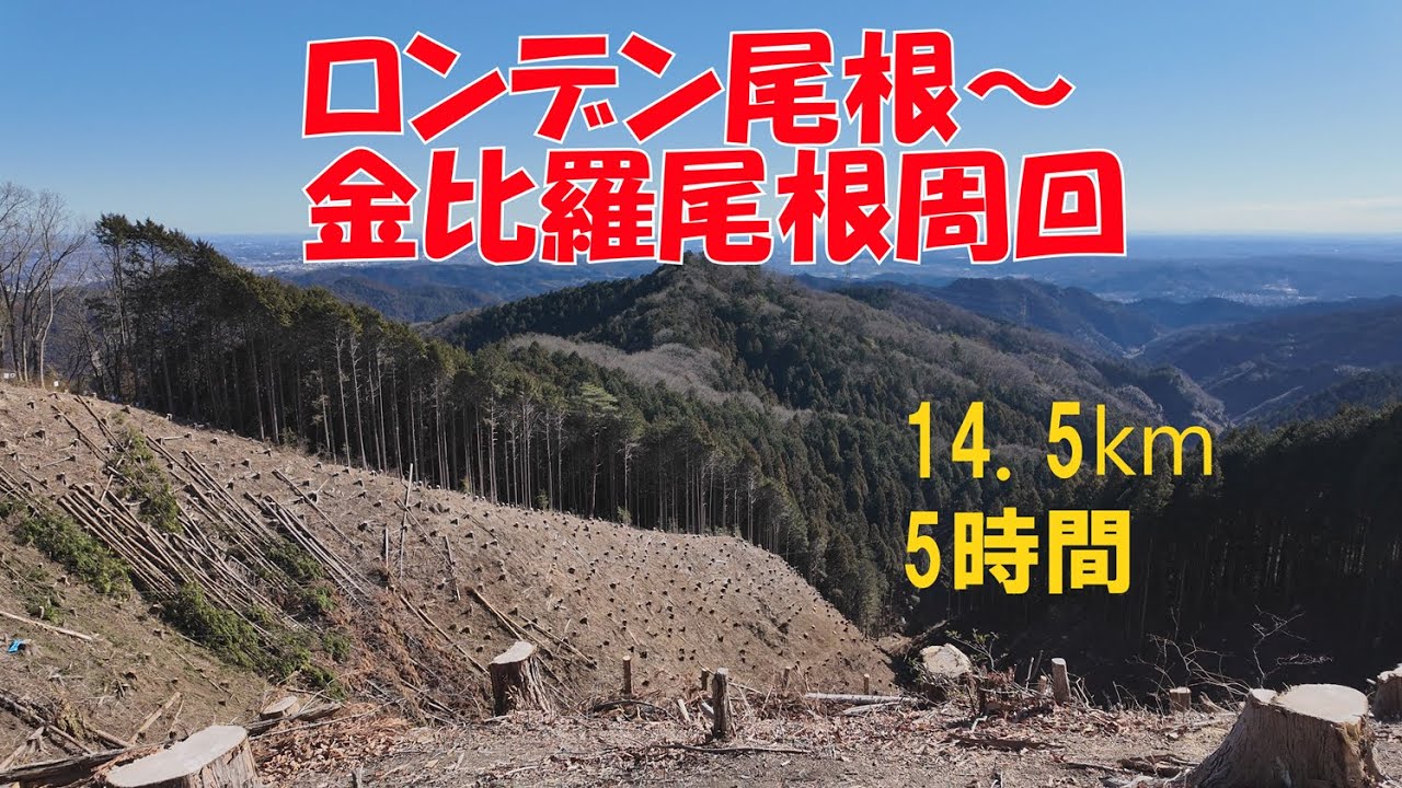 【ぴんきり低山巡り】 意外な穴場　ロンデン尾根から金比羅尾根周回　5時間　2024/1/27