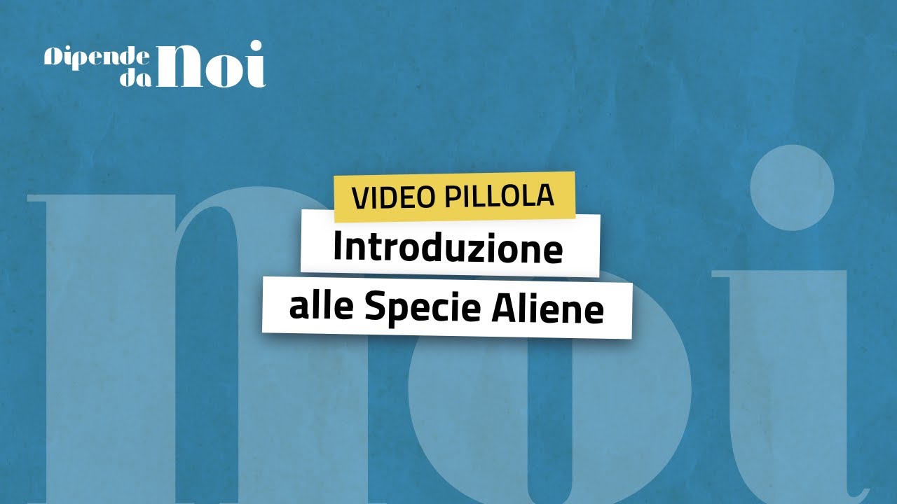 Specie aliene || episodio 1 || Introduzione alle specie aliene