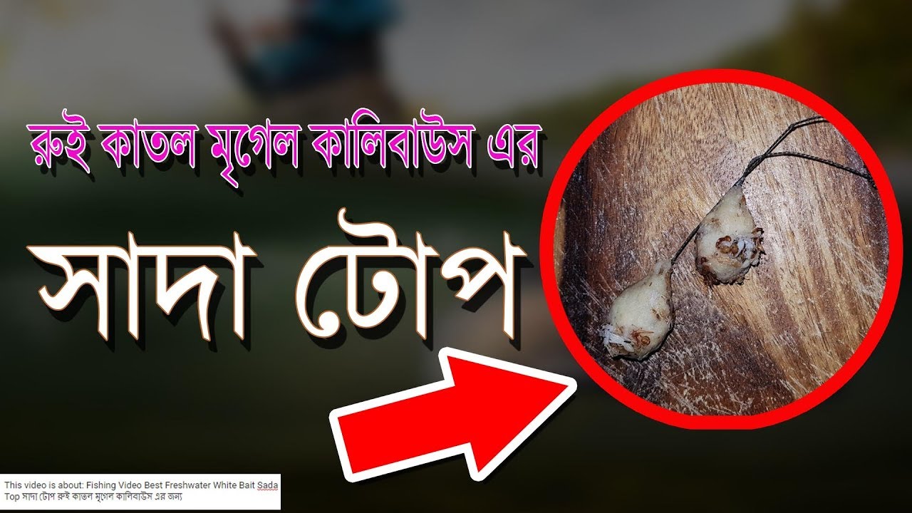 Fishing Video Best Freshwater White Bait Sada Top সাদা টোপ রুই কাতল মৃগেল কালিবাউস এর জন্য