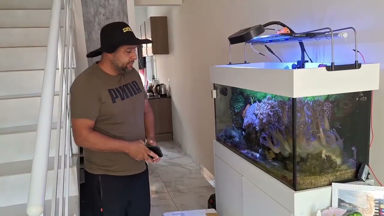 Removendo o leather gigante do aquário marinho