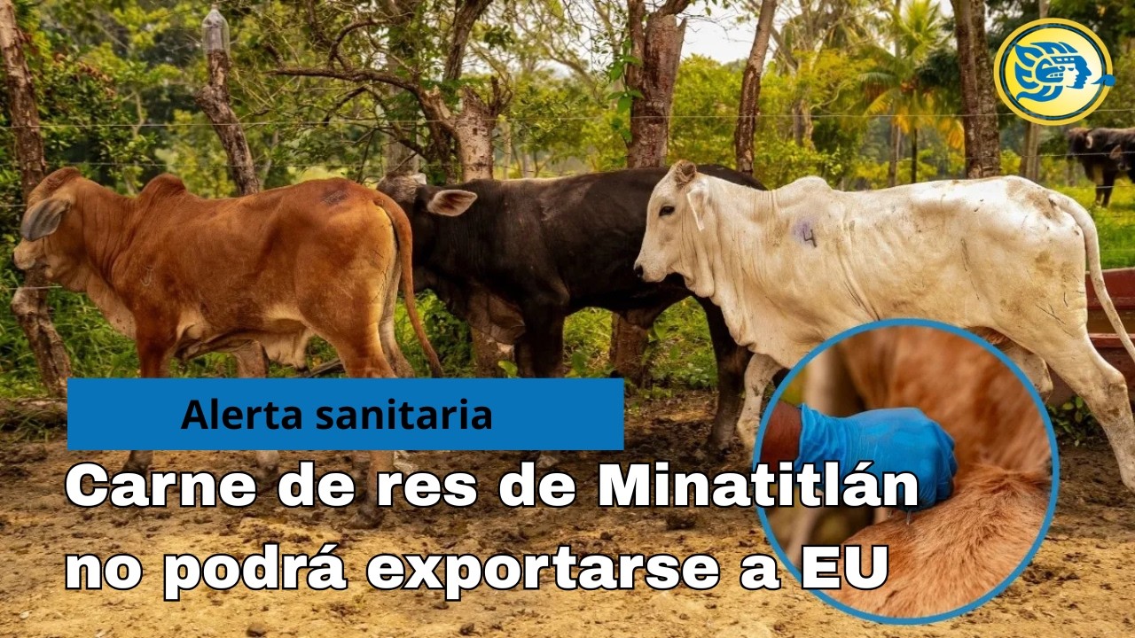 Carne de res de Minatitlán no podrá exportarse a EU por alerta sanitaria