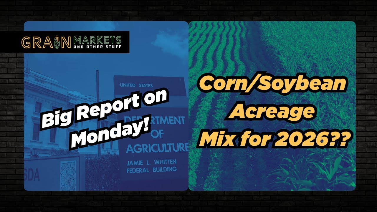 USDA Preview, Brian Talks Charts, 2026 Acreage Chat