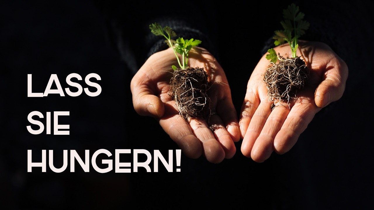 Warum deine Keimlinge hungern M&Uuml;SSEN (Das Geheimnis extremer Wurzeln)