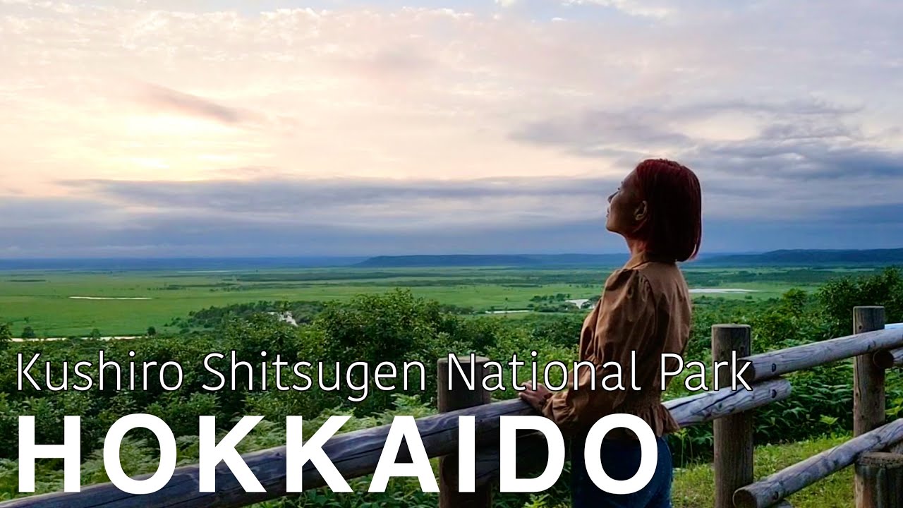 HOKKAIDO🇯🇵 Sunset from Kushiro Marshland (Kushiro Shitsugen National Park)🌅 Japan Travel Vlog