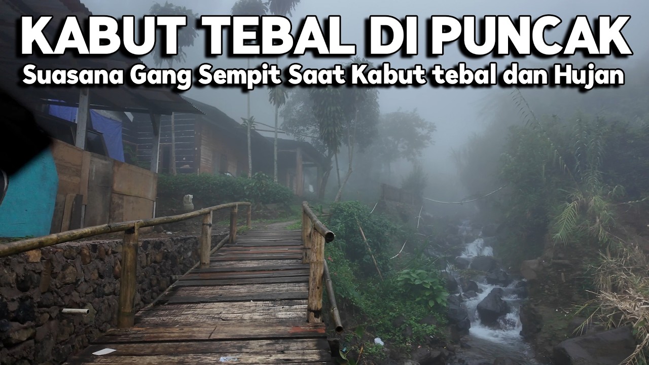 SUASANA GANG SEMPIT DI PUNCAK BOGOR SAAT TURUN KABUT | Real Life in  Indonesia