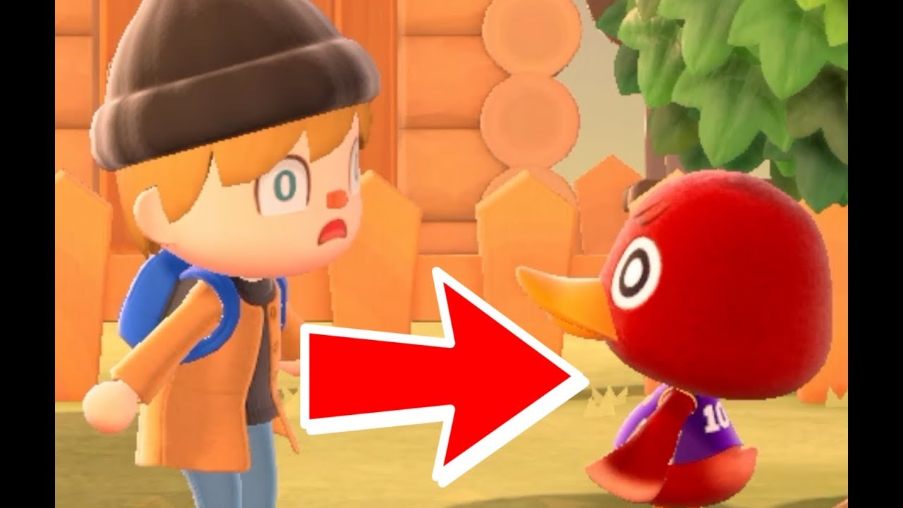 What Happens When You Meet Your FAVOURITE Villager In Animal Crossing