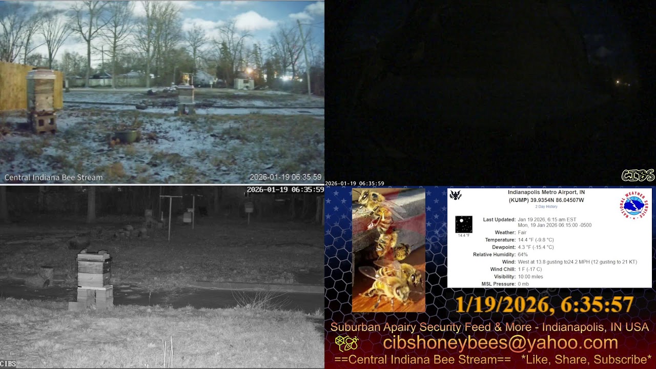 2026/1/18 Back Yard Cam - Weather - Bee Hives - Security Feed - Indianapolis, IN USA