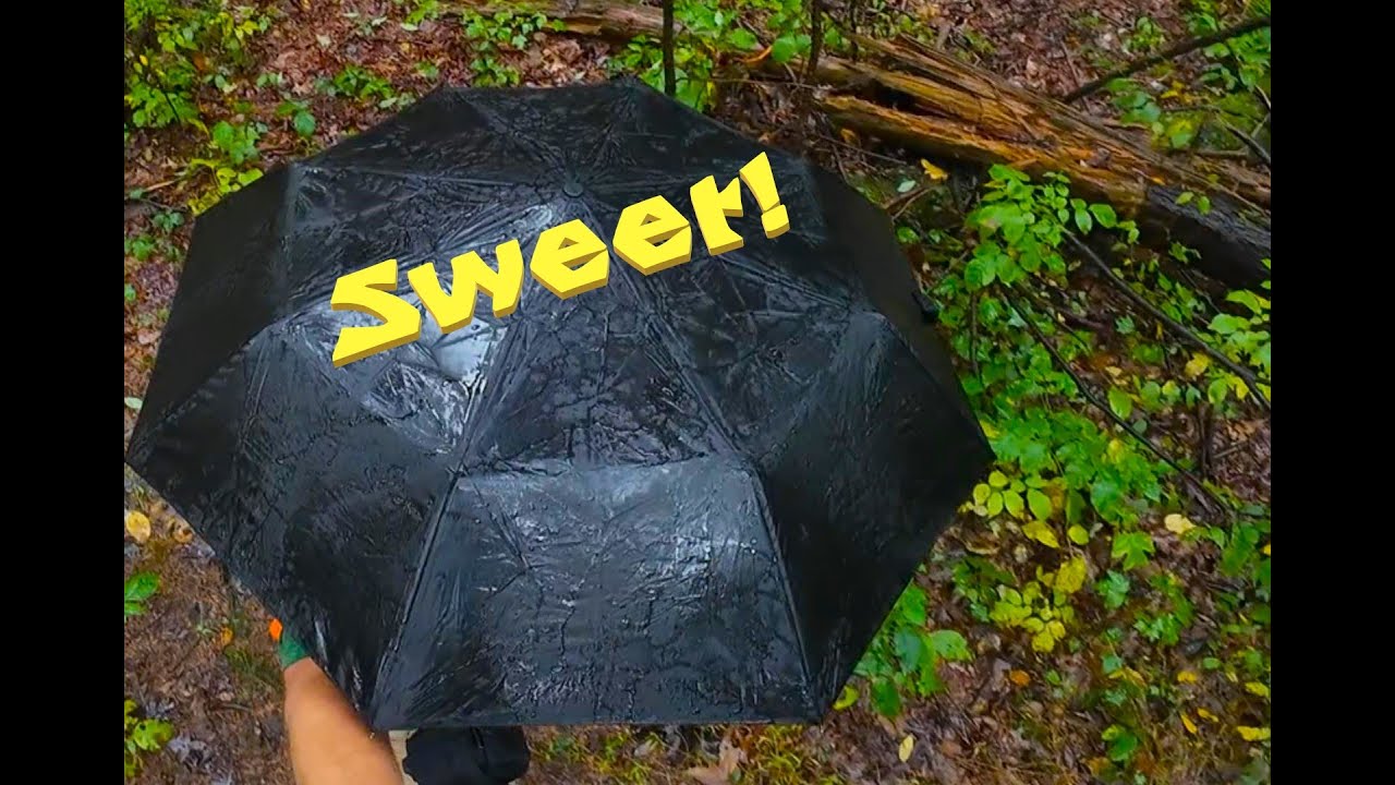 Beautiful Sweet Root Natural Area Buchanan State Forest