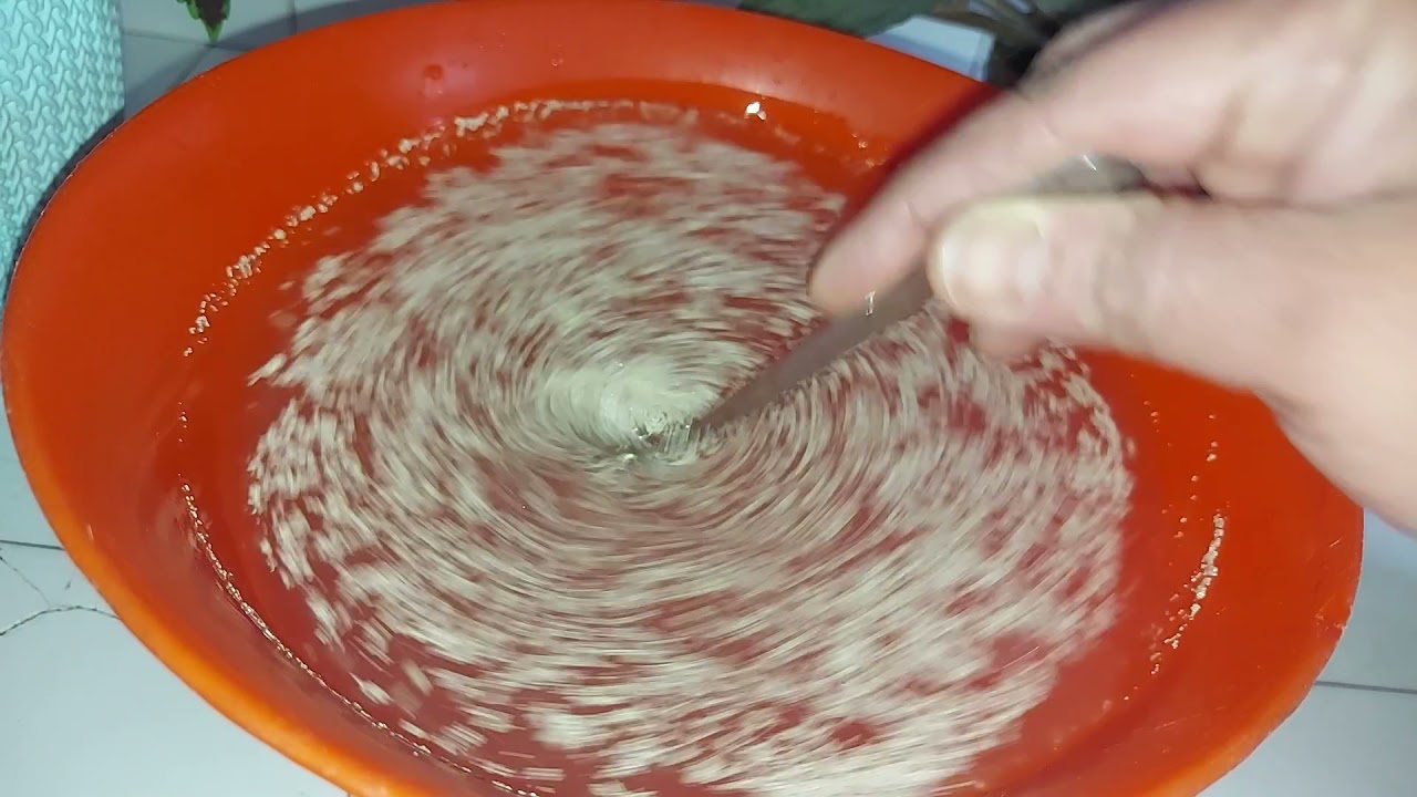 Kışın Bile Çiçekleri Coşturan Açtıran En Etkili Vitamin Bu Çiçeklere Kış Bakımı