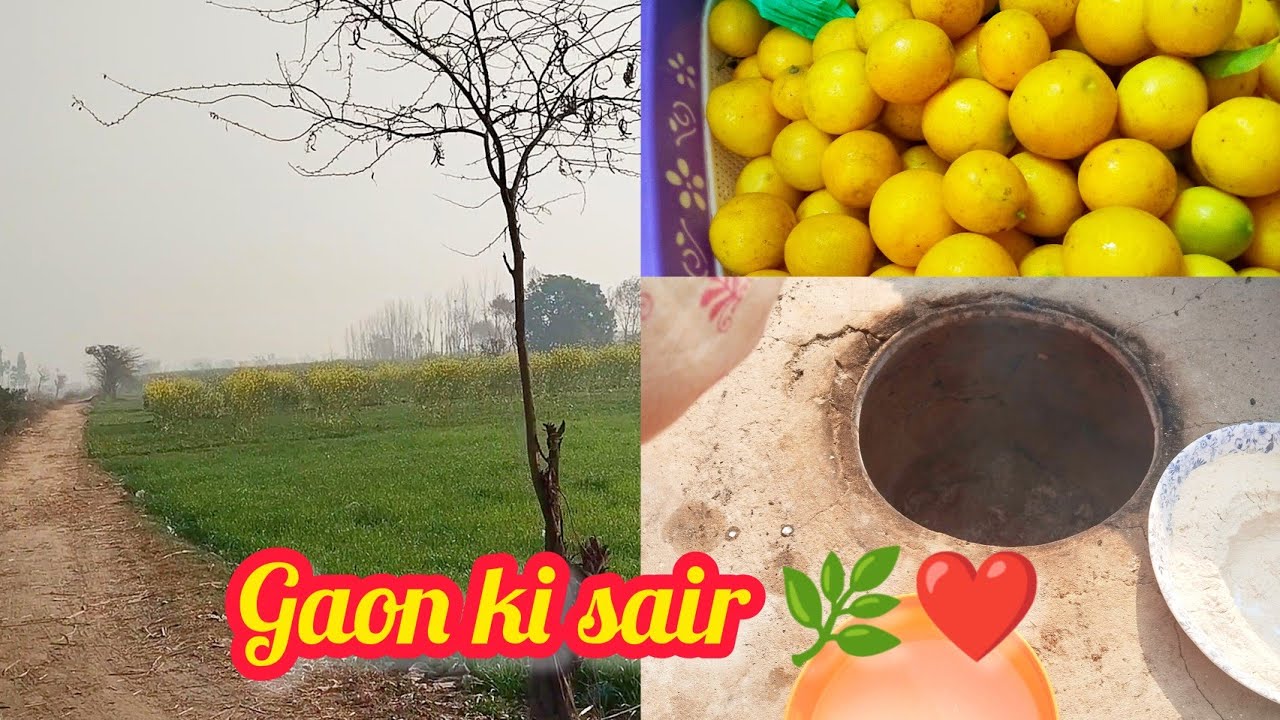 Trip to Village 🌿❤️ | Bachpan Yaad agaya 😍 | Village life full of Old tradition 😋
