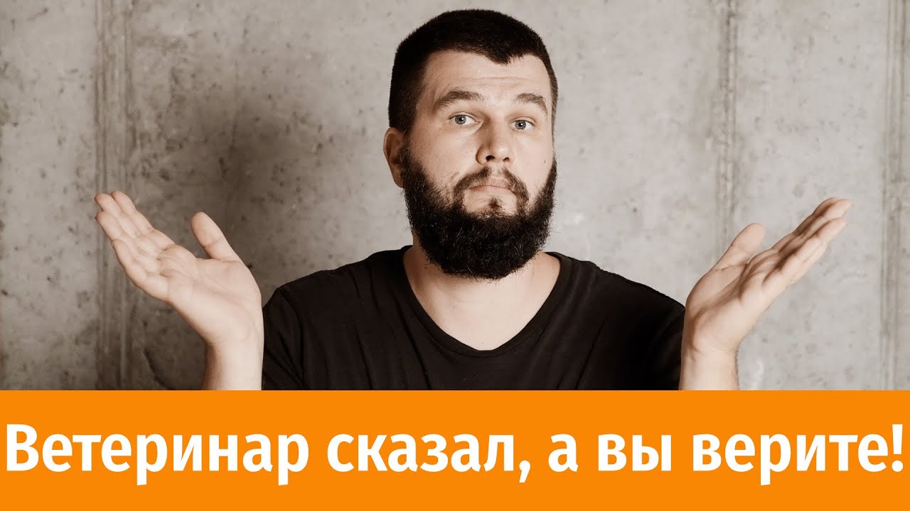 10 страшилок ветеринаров, в которые вы верите