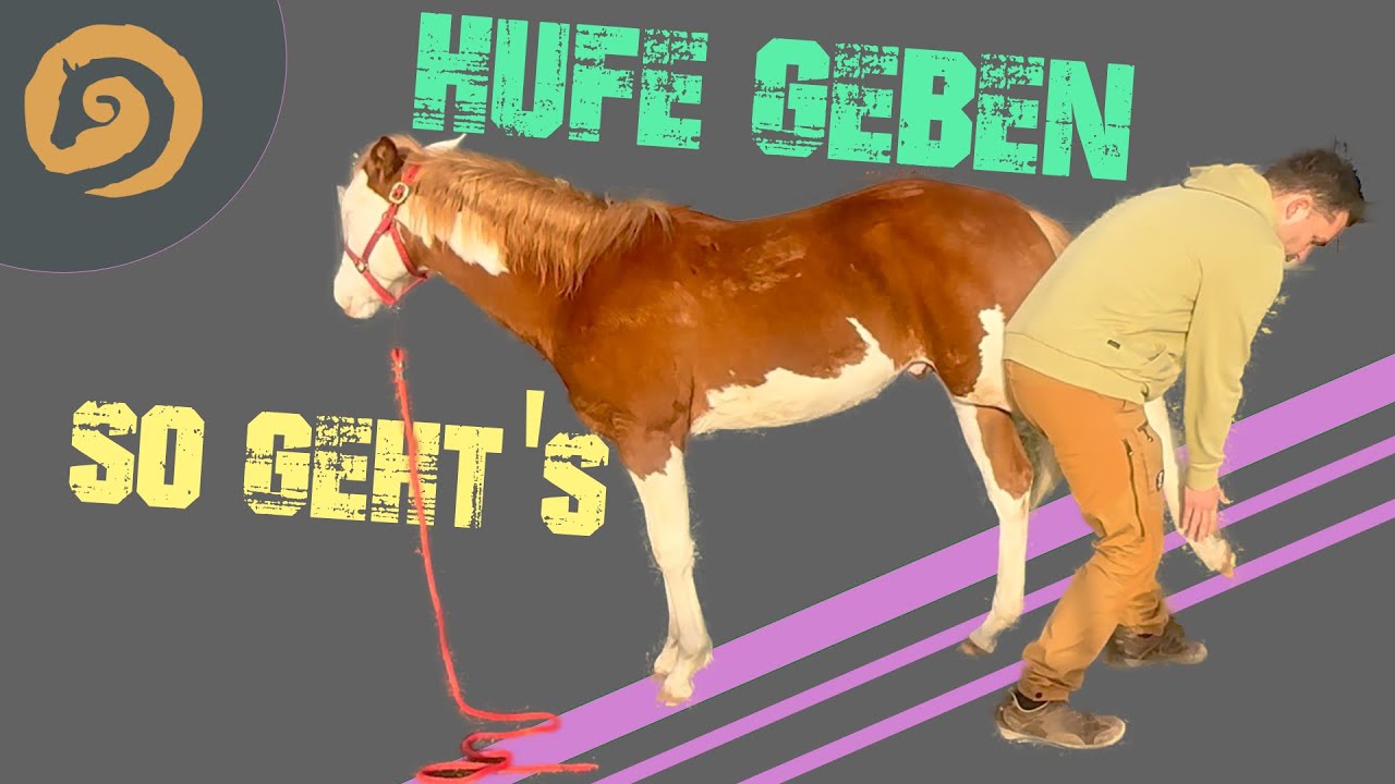 Hufe geben beibringen, so geht's...
