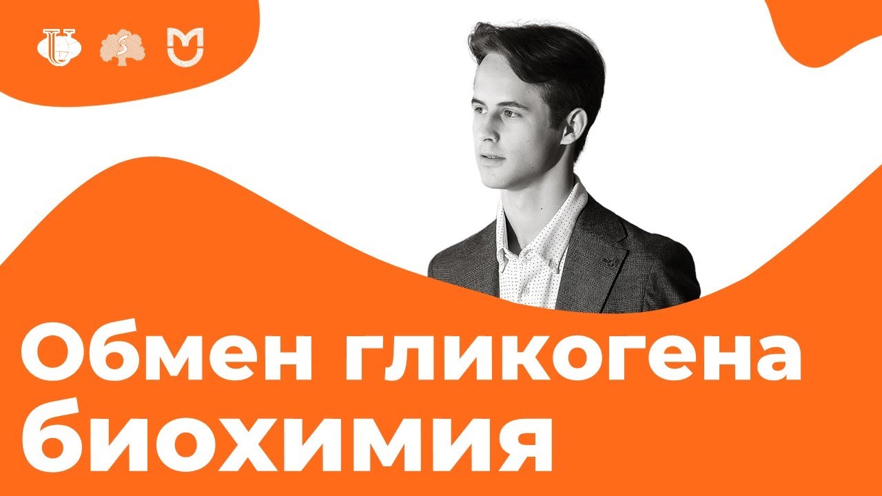 Распад и синтез гликогена в печени и мышцах. Гормональная регуляция. | На биохимическом