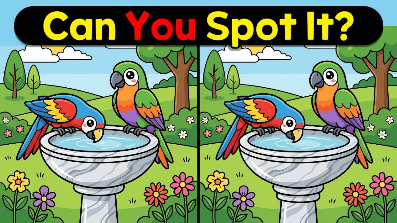 Spot The Difference : Can You Spot It? ( Find The Difference #9 )