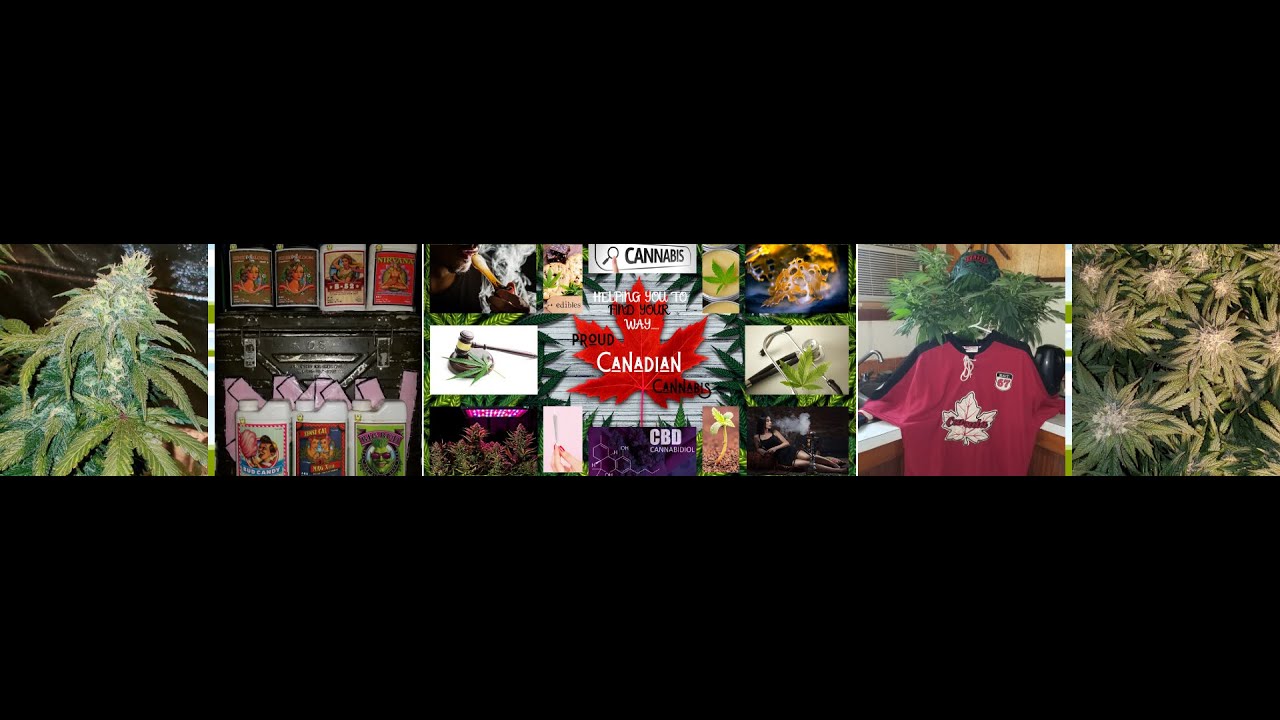 Week 5 Of Veg, Turbokloner, Seed Pack Win, Lighting Changes, Getting Ready For Flower Update!