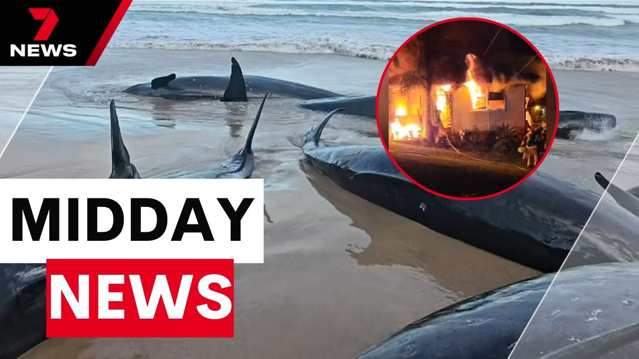 House fire tragedy, whales stranded and rate cuts | 7NEWS