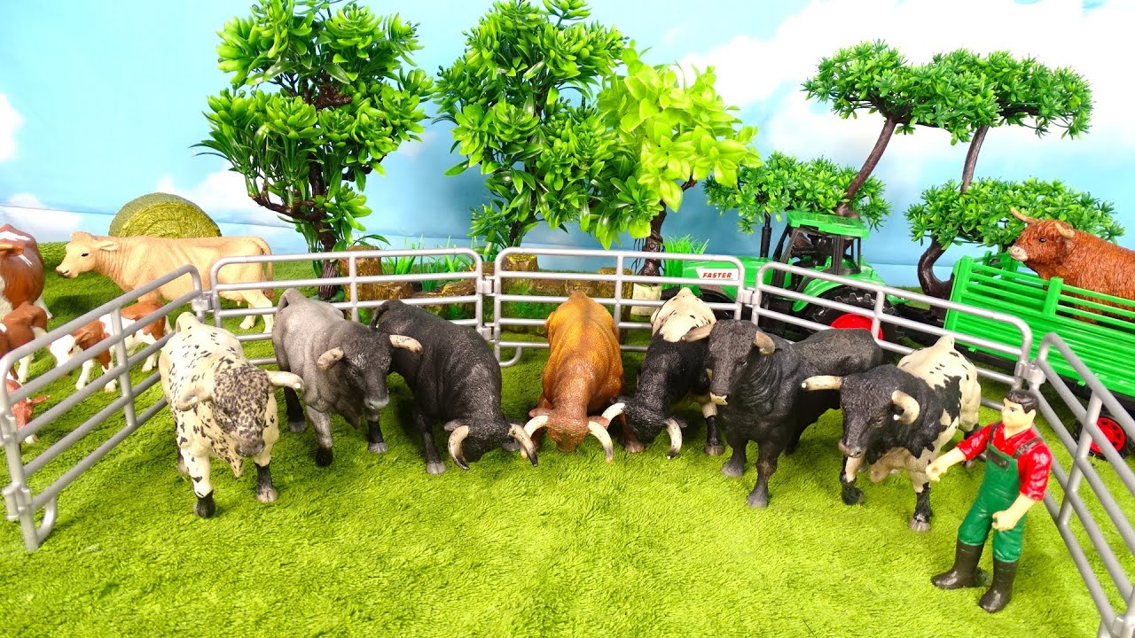Taking animals/bulls/ Mucche/Vacas/Horses/sheep/Trasportando animali/ Trasporto TORI