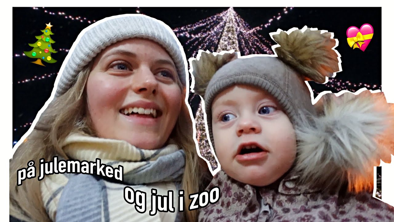 min lille familie på julemarked og til jul i zoo