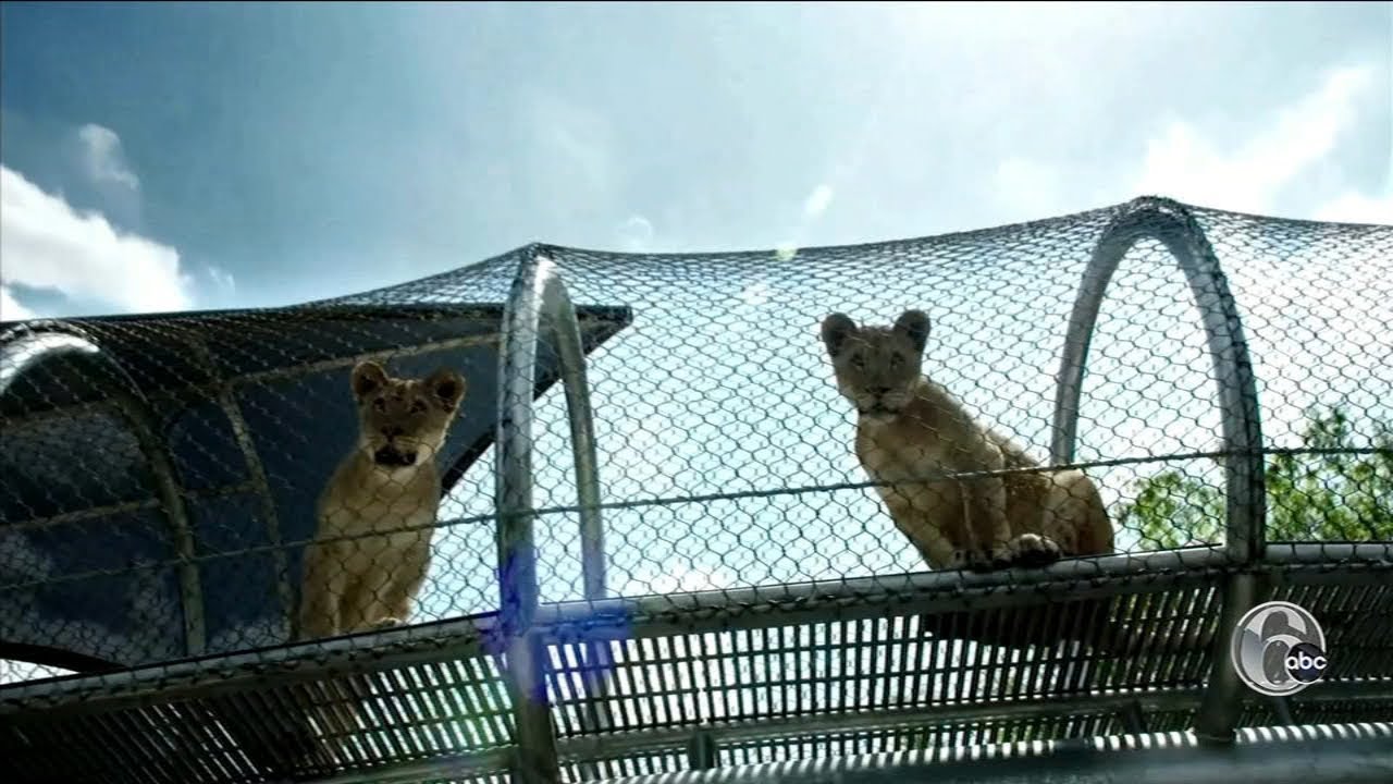 Zoo 360 and New Exhibits